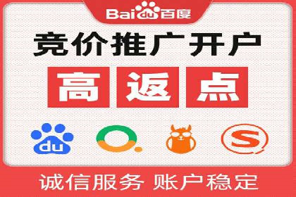 SEM代理案例：揭秘成功背后的秘密